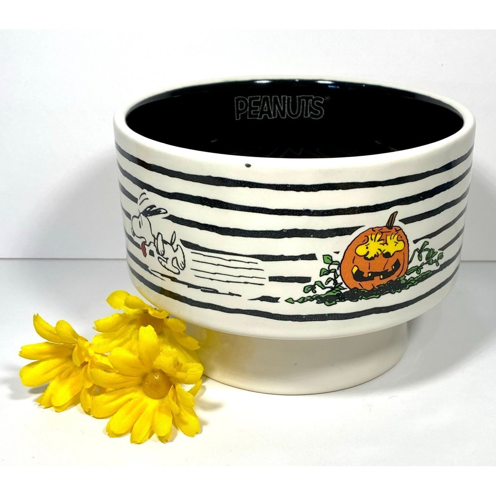 Rae Dunn Peanuts Howler Ceramic Pet Dog Bowl 6" Halloween Snoopy Woodstock